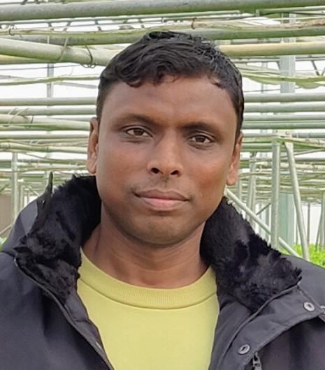 रोशन मेहता